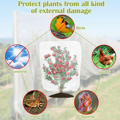 Thickened Insect-Proof Net Cover – 60 Mesh for Vegetables, Fruit Trees, Greenhouses & Breeding Protection