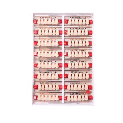 16/12 Set Dental Denture Teeth Model Kit, Upper & Lower Anterior Synthetic Polymer Teeth A2 A3 for Dental Education & Training