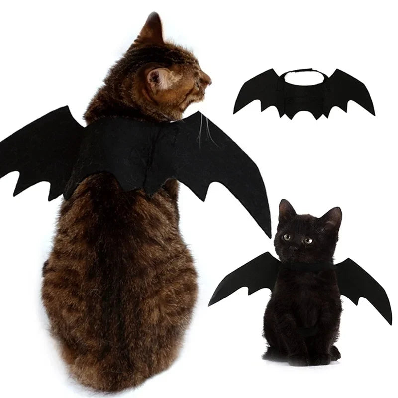 5.05297E+13