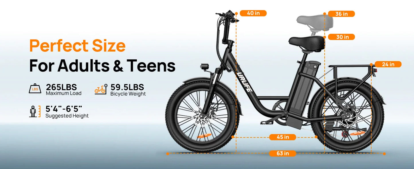 URLIFE E20 Electric Bike 1000W – 48V 13Ah Removable Battery, 20"×3" Fat Tire, 20MPH 7-Speed E-Bike with Dual Disc Brakes