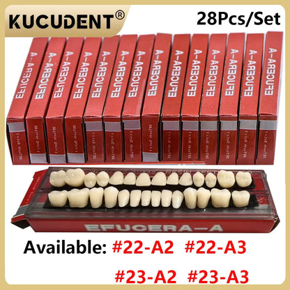 28-Teeth Dental Acrylic Resin Denture Set – Upper & Lower False Teeth Model (A2/A3, Shade 22# & 23#) for Dental Education & Research