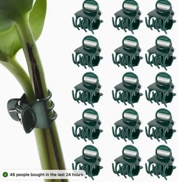 4.85826E+13