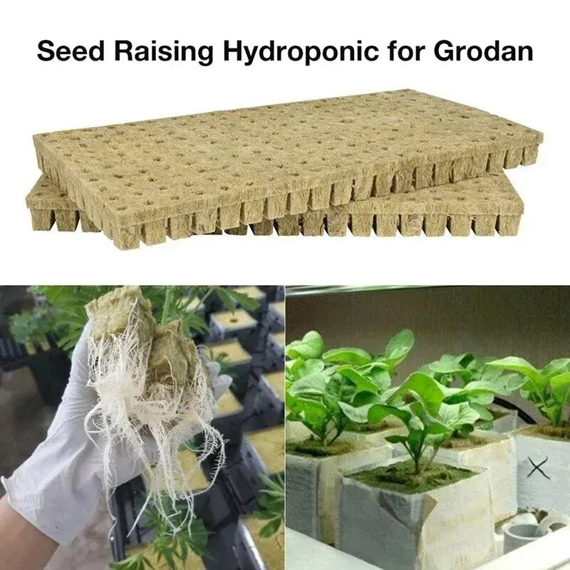 50pcs 25x25x25mm Stonewool Hydroponic Grow Cubes — Rockwool Seedling Blocks for Soilless Plant Cultivation