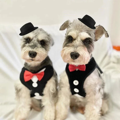 Elegant Bowtie Pet Harness Vest - Adjustable Cat Dog Leash Set Cute Tuxedo Bowknot Suit for Puppy Kitten