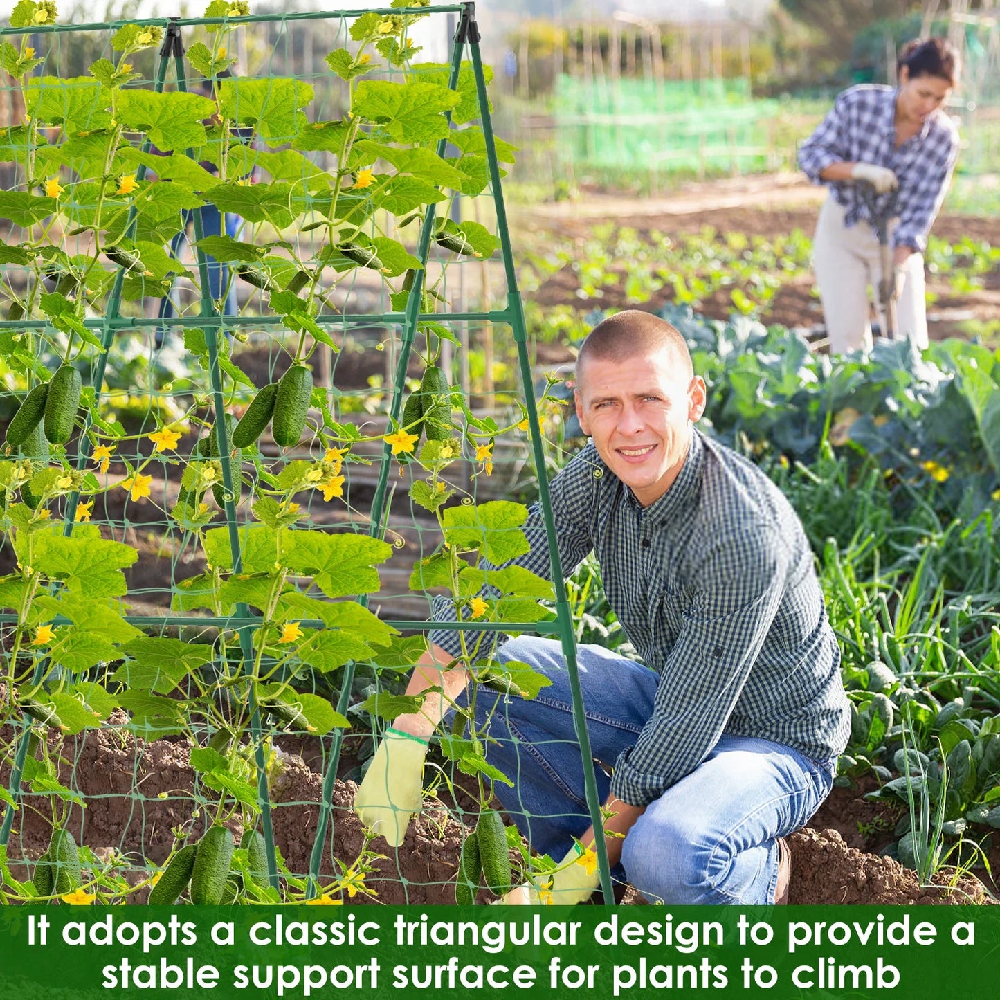 A-Frame Garden Trellis Kit - Rustproof Vegetable Climbing Support with Net for Cucumbers & Outdoor Plants