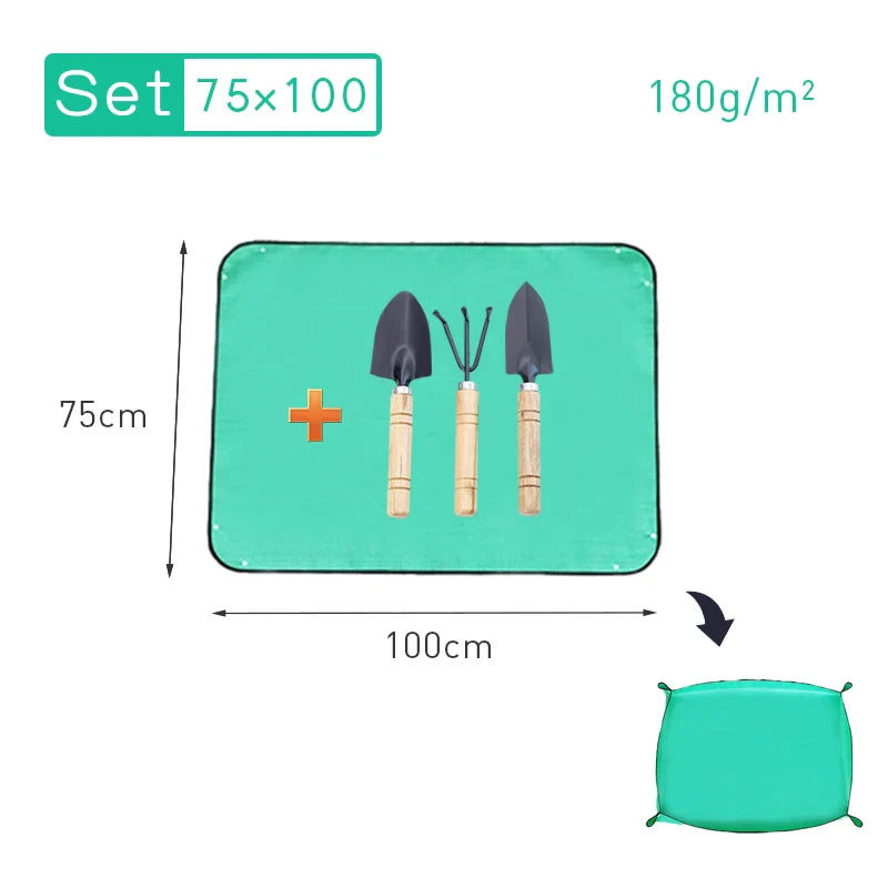 5.03536E+13