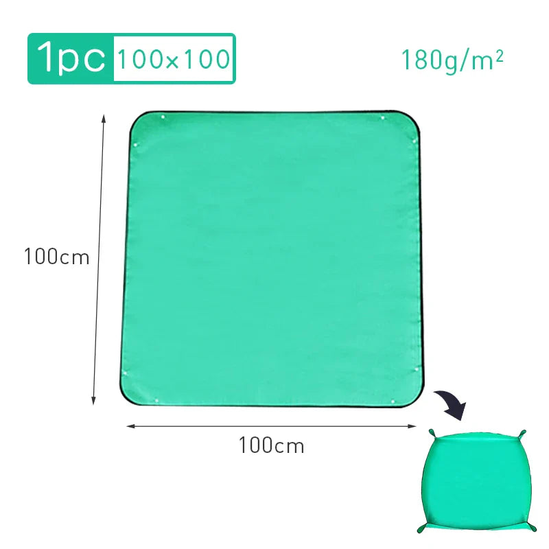 5.03536E+13