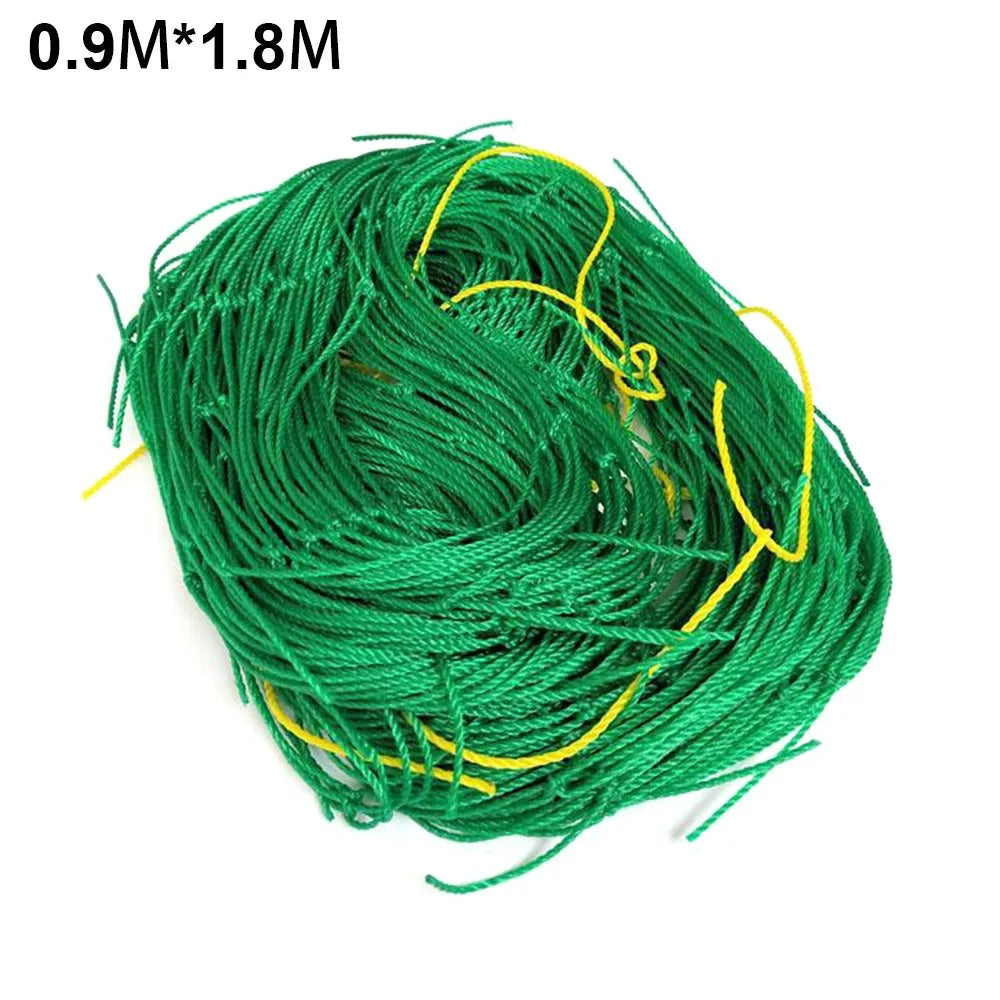 4.86407E+13