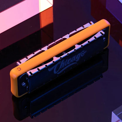 JDR Chicago Blues Harmonica - Professional 10-Hole Diatonic Mouth Organ