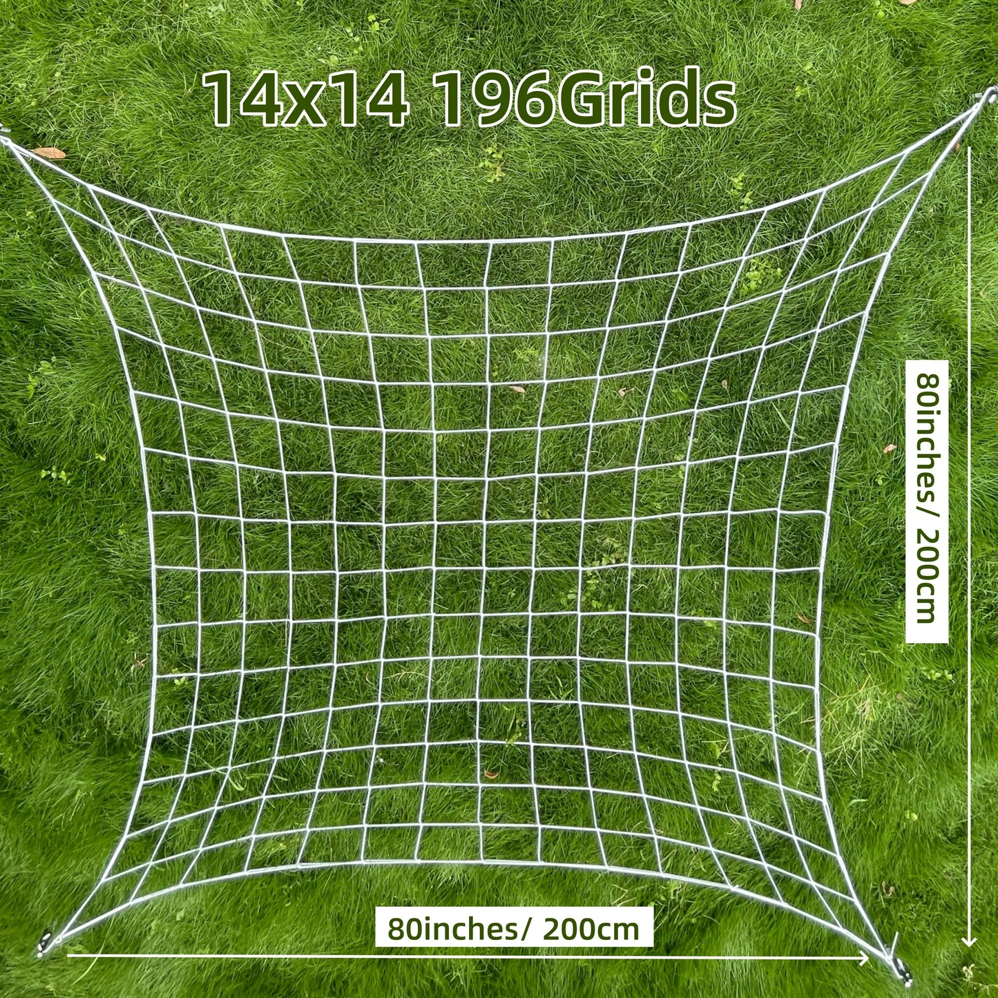 5.03536E+13