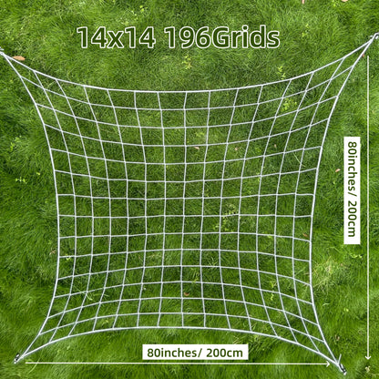 5.03536E+13