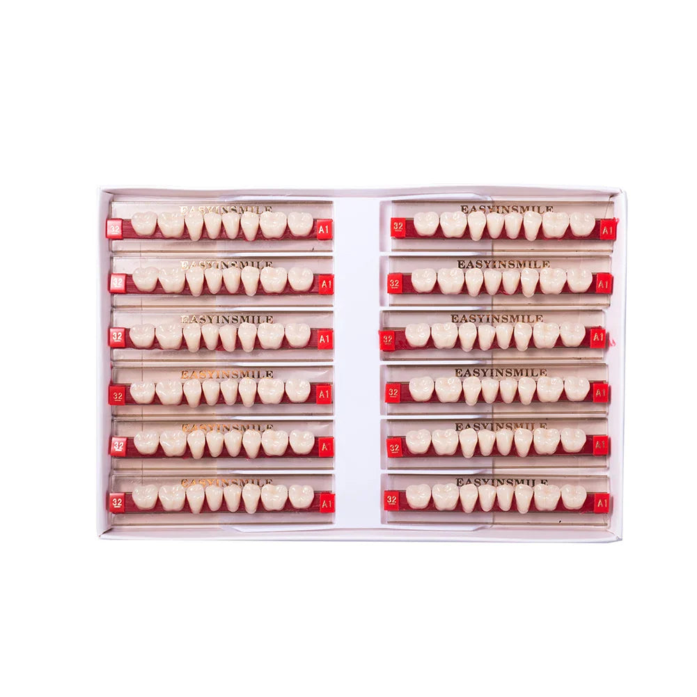 16/12 Set Dental Denture Teeth Model Kit, Upper & Lower Anterior Synthetic Polymer Teeth A2 A3 for Dental Education & Training