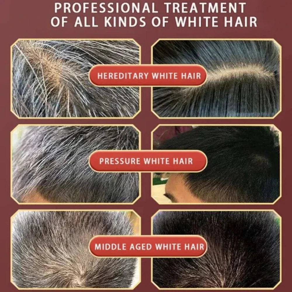 Pure Natural Herbal Hair Dye Shampoo – 5-Minute Gray & White Hair Color, Non-Irritating Hair Repair for Men & Women