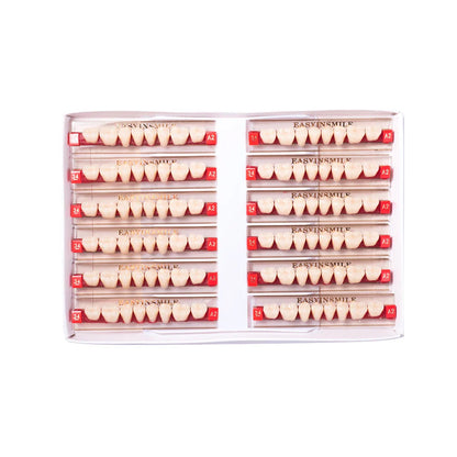 16/12 Set Dental Denture Teeth Model Kit, Upper & Lower Anterior Synthetic Polymer Teeth A2 A3 for Dental Education & Training