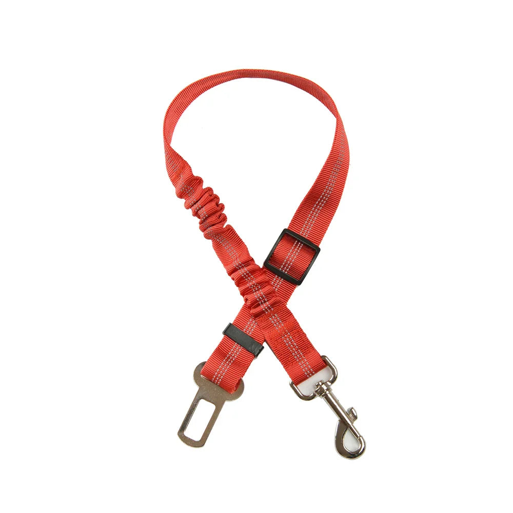 4.8434E+13
