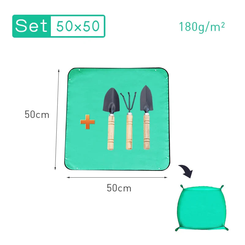 5.03536E+13