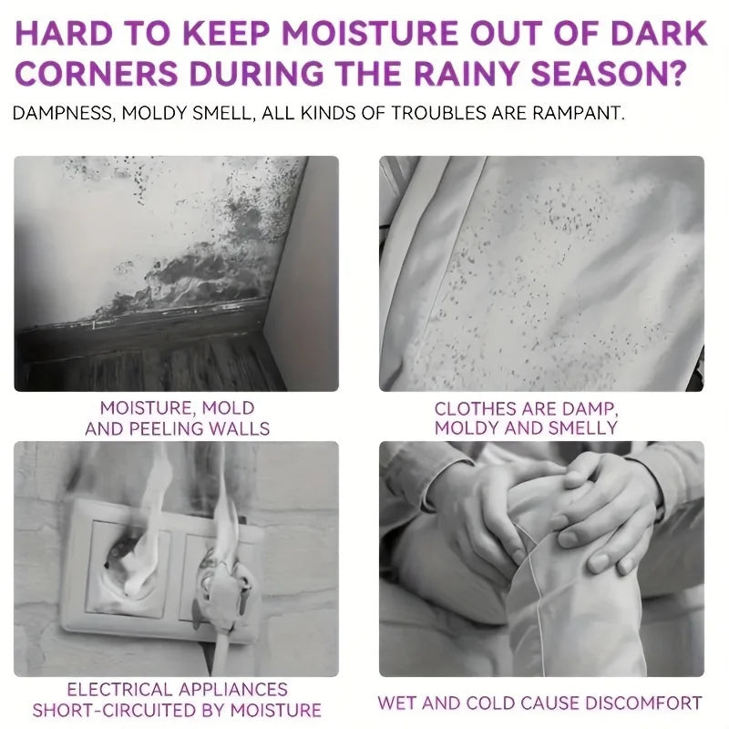 Reusable Moisture Absorber Bag – Closet & Wardrobe Deodorizer, Anti-Mold Humidity Control