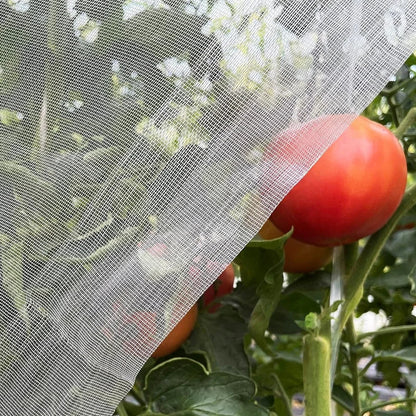 Garden Plant Insect Protection Net – Anti-Bird & Pest Control Cover for Vegetables, Fruits, and Greenhouse Use