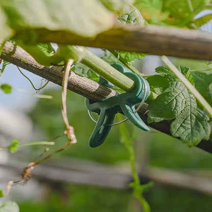 Reusable Plant Fixed Clips - Garden Greenhouse Brackets for Supporting Plants, Vine, Flower Seedling, Tomatoes - Garden Supplies