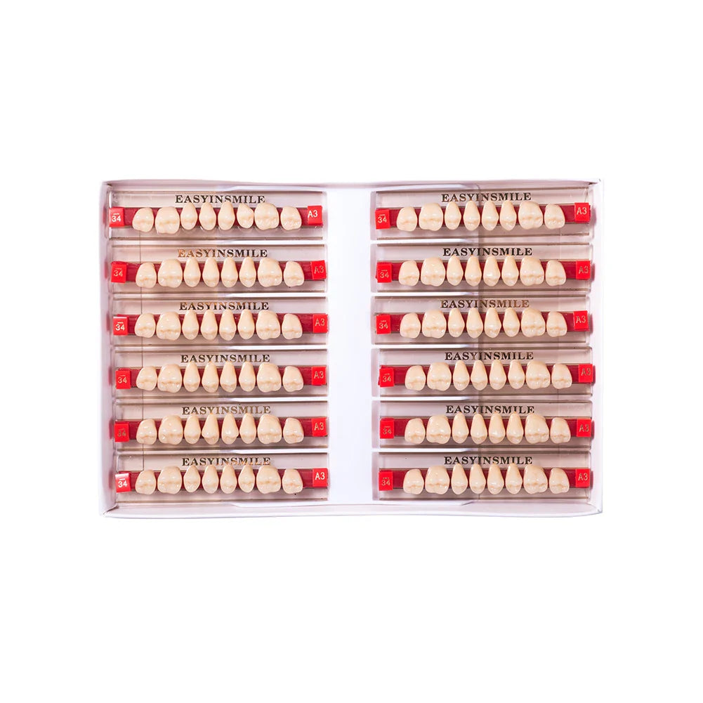 16/12 Set Dental Denture Teeth Model Kit, Upper & Lower Anterior Synthetic Polymer Teeth A2 A3 for Dental Education & Training
