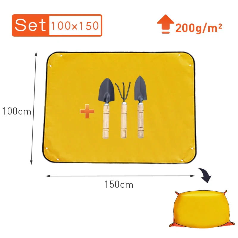 5.03536E+13