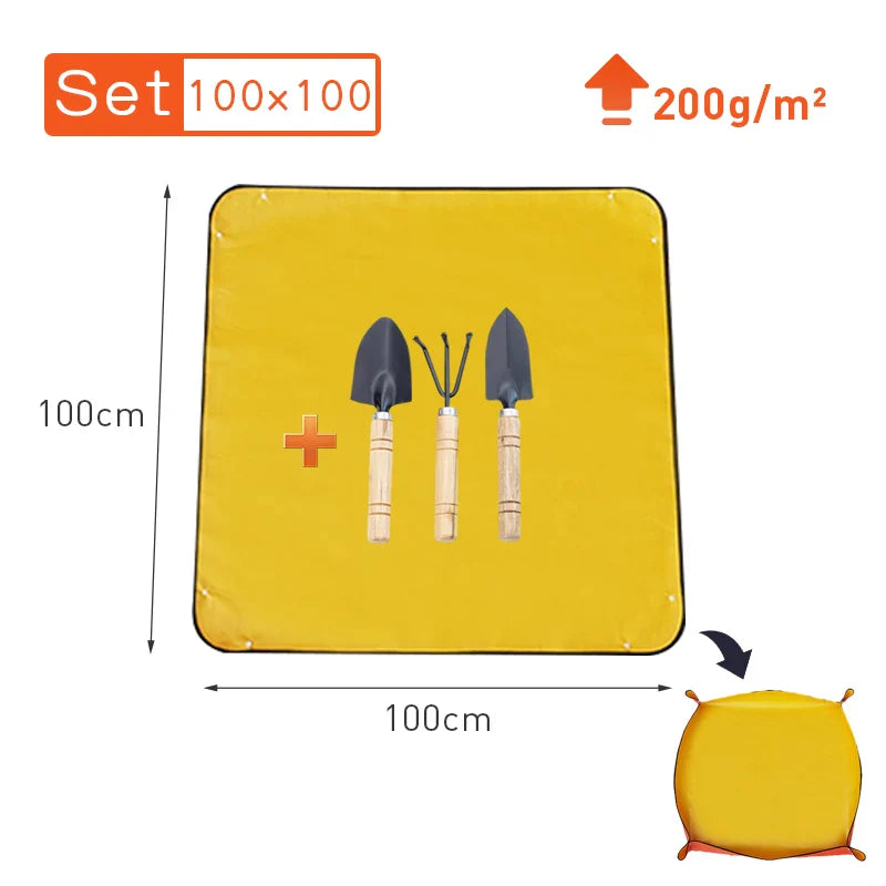 5.03536E+13
