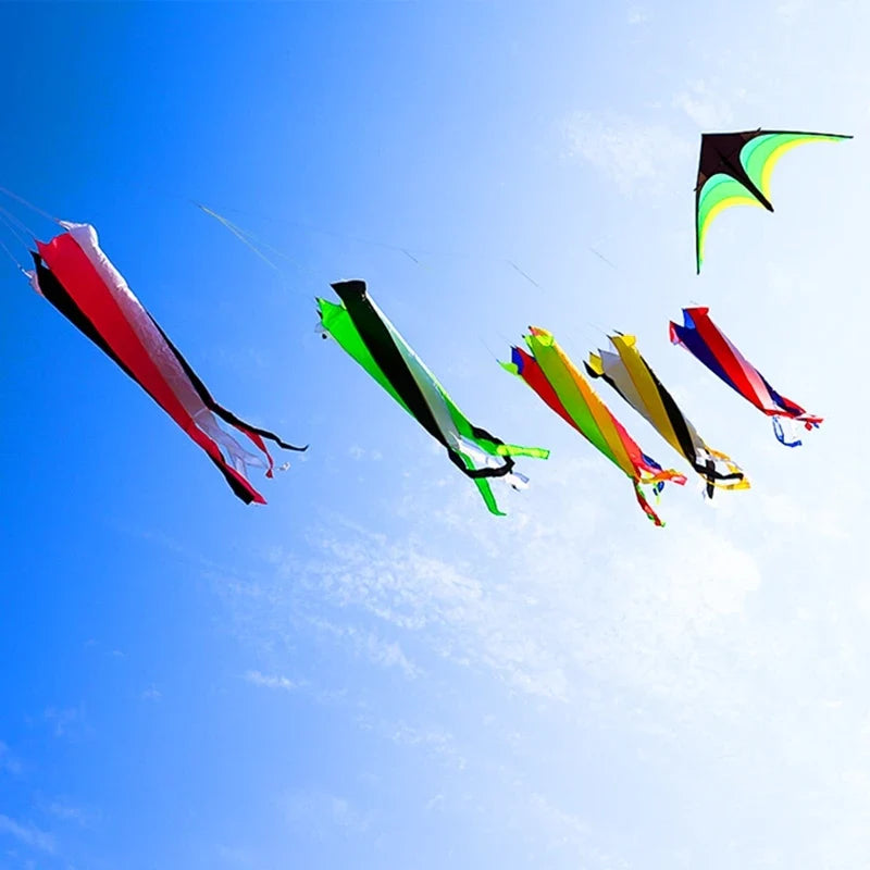 Large Decorative Show Kite - Professional Outdoor Wind Kite with Butterfly Snake Koi Design
