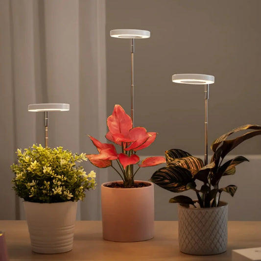 LED Indoor Angel Ring Plant Growth Light - USB 5V with On/Off Timer - Retractable Height Full Spectrum Simulated Sunlight