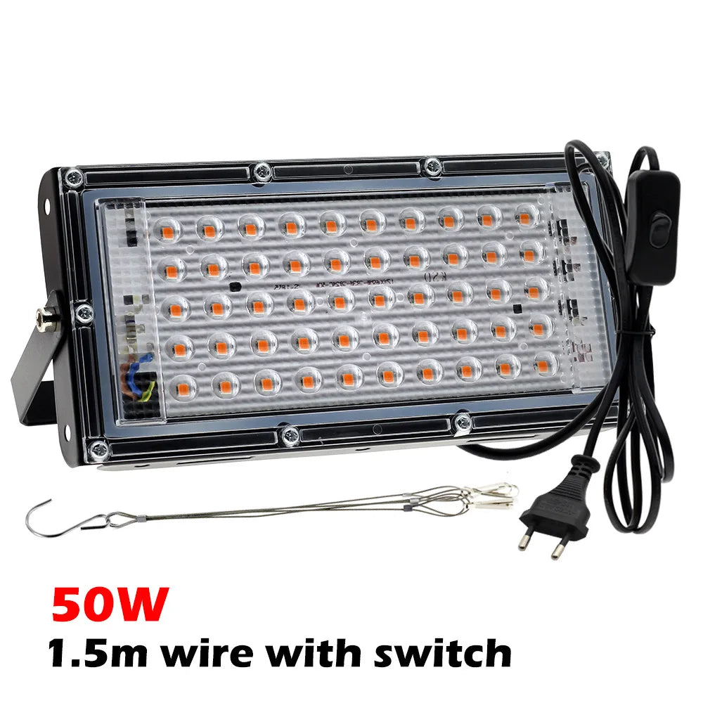 4.8434E+13