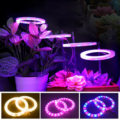 LED Full Spectrum Grow Light — USB 5V Adjustable Height Dimmable Lamp with Timer for Indoor Plants & Herbs