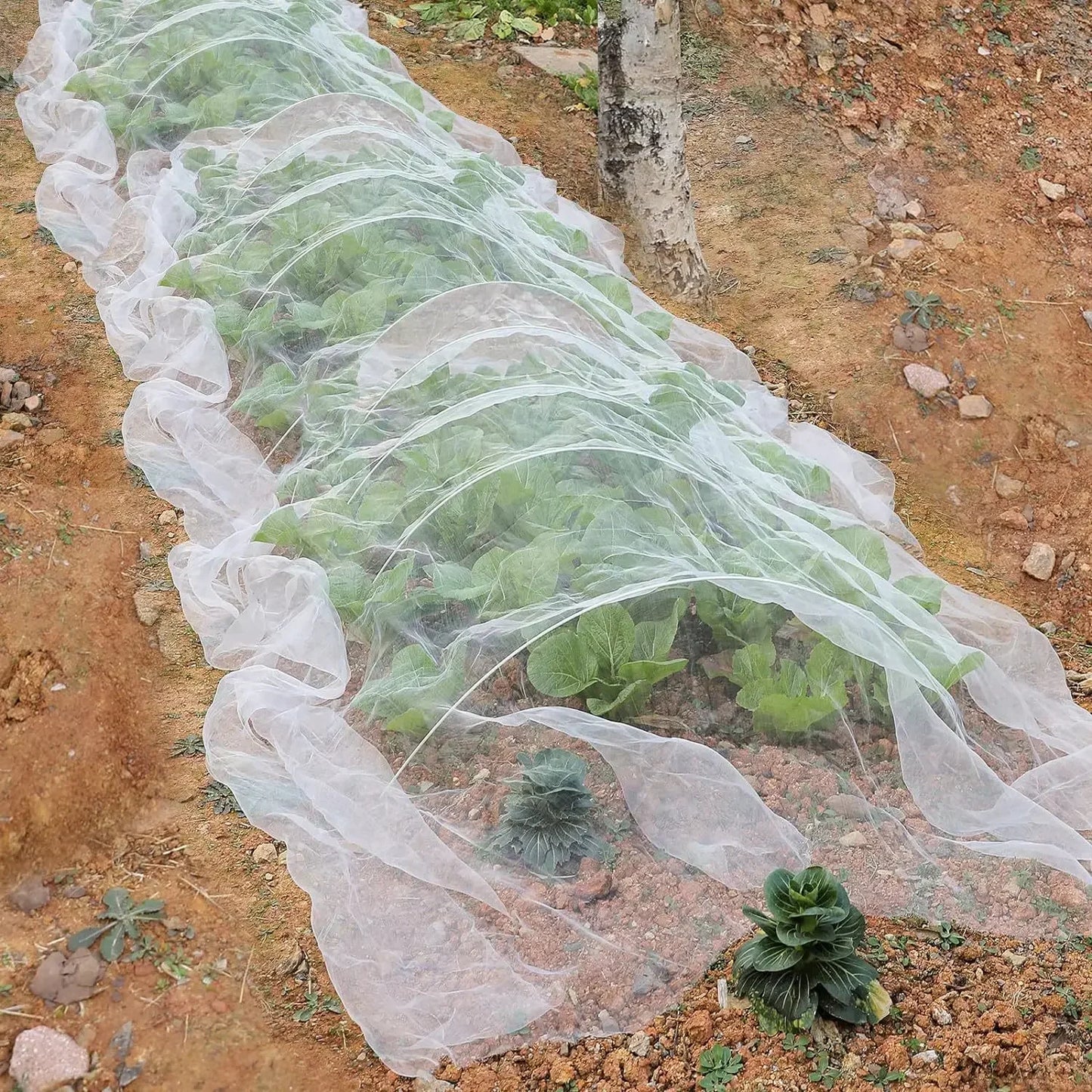 Garden Plant Insect Netting – 60 Mesh Pest Control Cover for Vegetables, Flowers, and Fruits, Bird-Proof Protective Netting