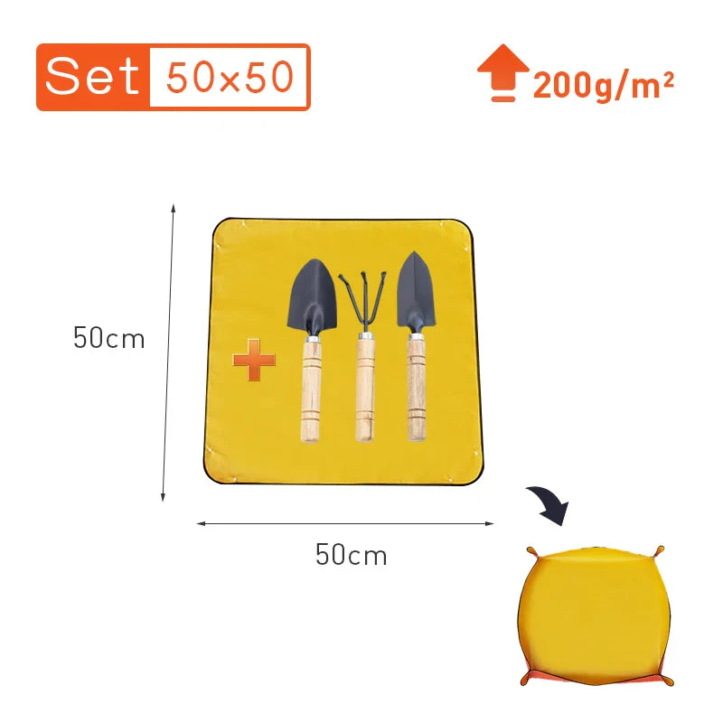 5.03536E+13