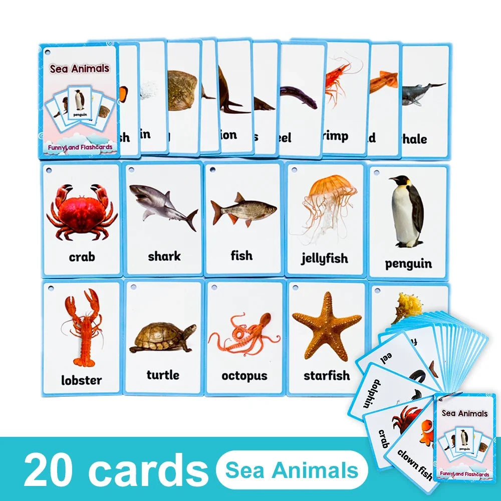 Kids English Vocabulary Flashcards - 26 Themes Fruits Animals Vehicles & Learning Activity Cards