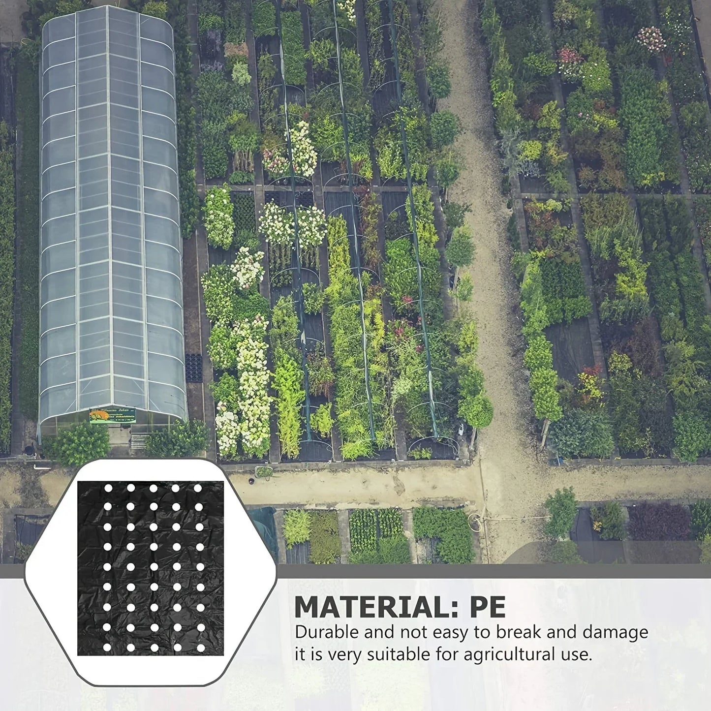 Black Plastic Mulch Film — High-Quality Vegetable Growing Film for Greenhouses & Plant Protection