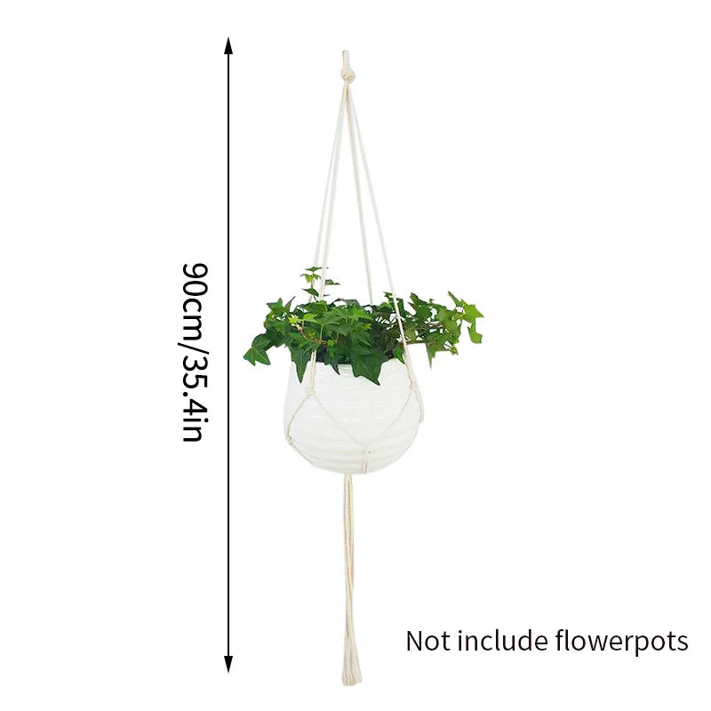 4.8555E+13