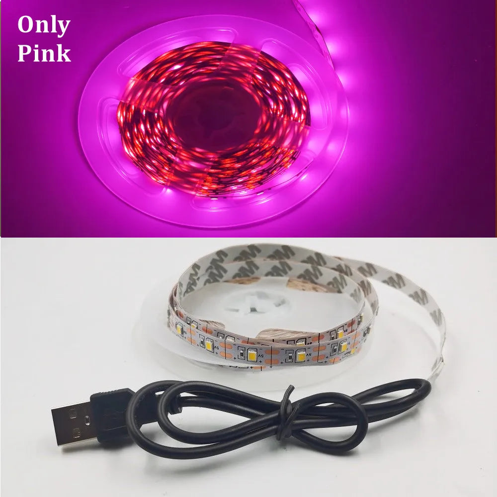 5M USB LED Strip Light - 5V SMD 3528 Waterproof Ribbon Light for Cabinets, Ceilings & Home Decor