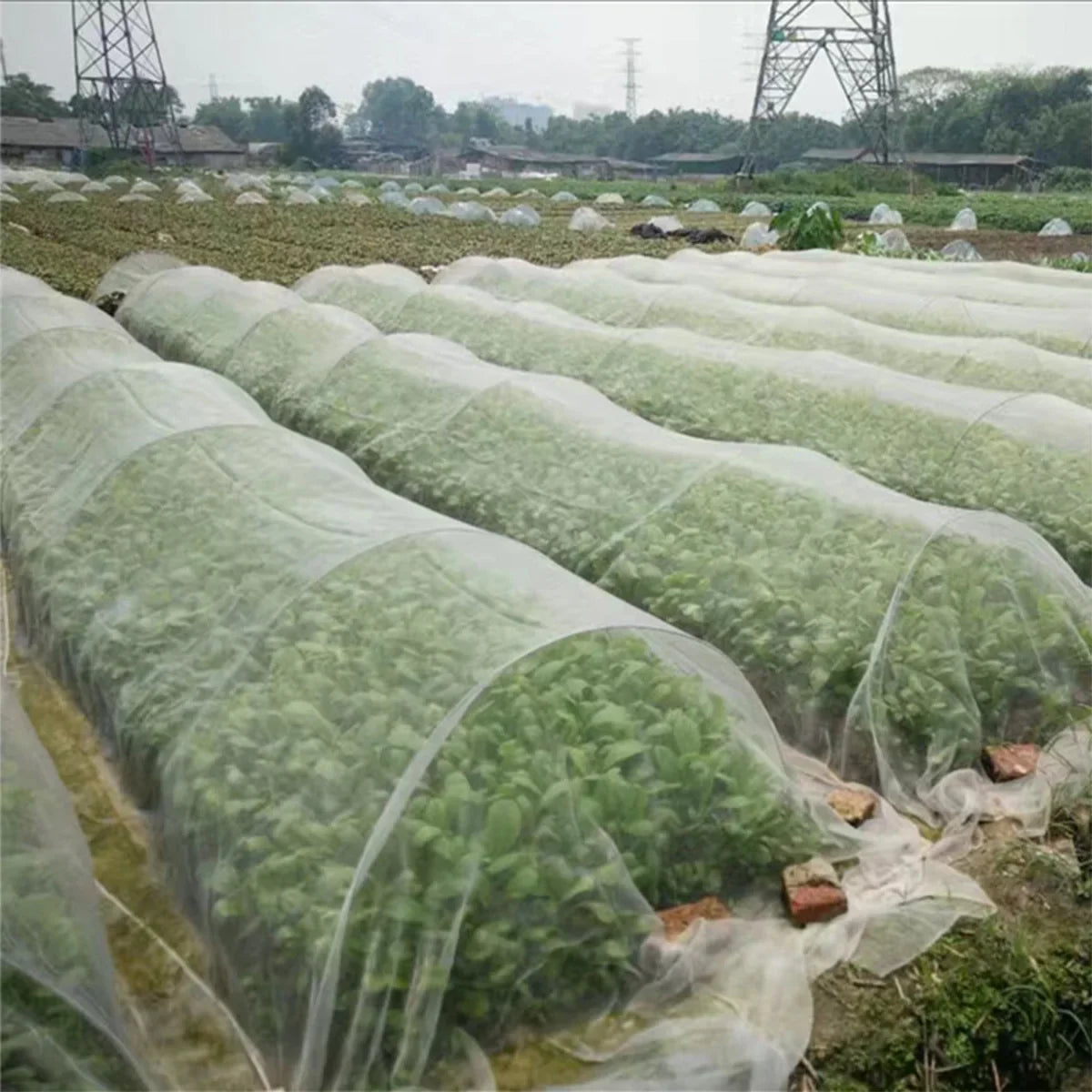 Garden Insect Protection Net – 60 Mesh Pest Control Cover for Plants, Vegetables, Fruits, Flowers & Greenhouse, Anti-Bird Protective Net