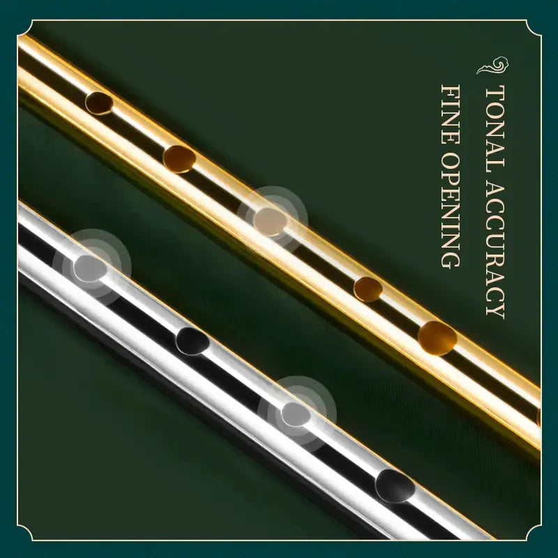 Irish Tin Whistle – Key of C/D Penny Whistle, Easy-to-Learn Classical Instrument for Beginners
