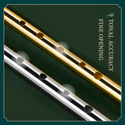 Irish Tin Whistle – Key of C/D Penny Whistle, Easy-to-Learn Classical Instrument for Beginners