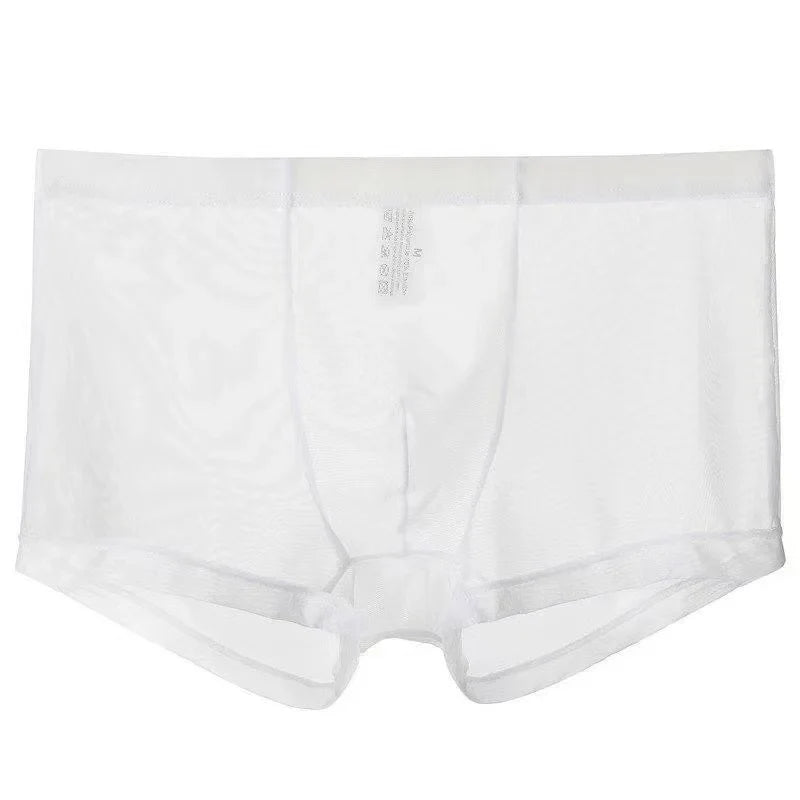 Transparent Ice Silk Men's Boxers - Low Waist See-Through Bulge Underwear