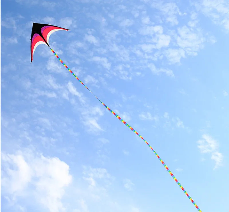 Large Decorative Show Kite - Professional Outdoor Wind Kite with Butterfly Snake Koi Design