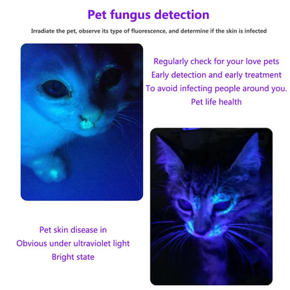 Mini 3W 365nm UV Flashlight – Rechargeable Ultraviolet Torch for Manicures, Pet Urine, Tinea, Money, Ore & Scorpion Detection