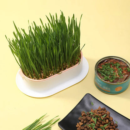Creative Cat Snack Hydroponic Seedling Tray - Reusable Garden Catnip Growing Pot, Perfect Pet Supply for Feline Enthusiasts