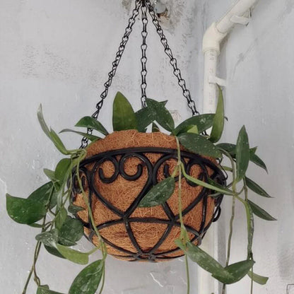 Coconut Brown Round Iron Chain Hanging Basket – European Style Flowerpot for Succulents & Chlorophytum Comosum Plants
