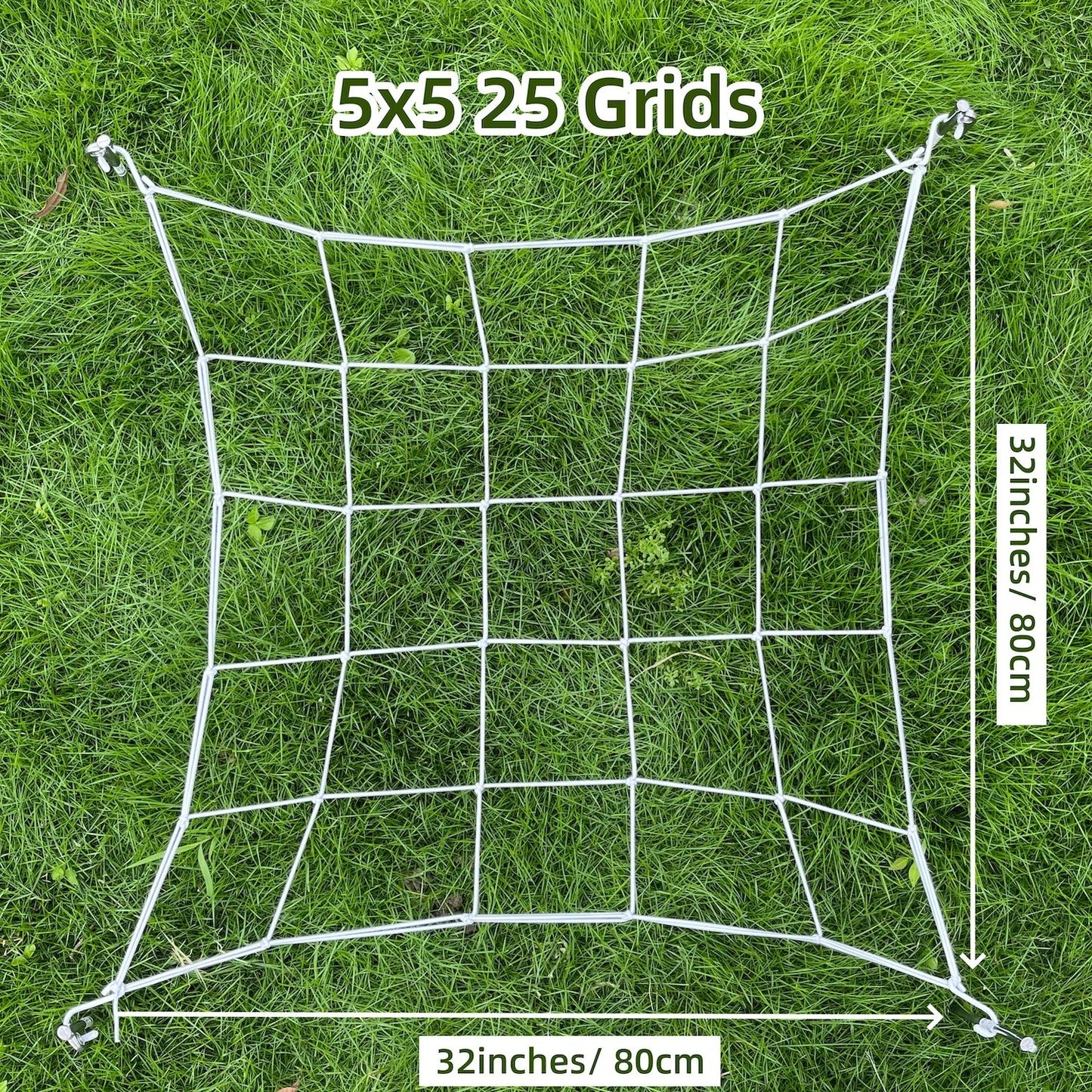 5.03536E+13