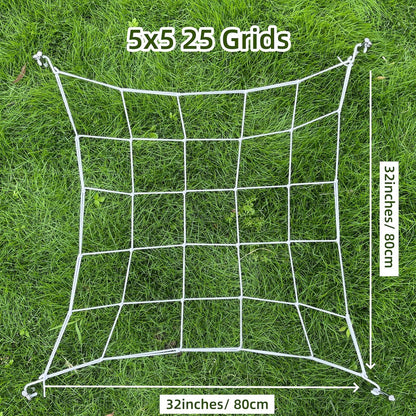 5.03536E+13