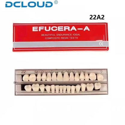 28-Teeth Dental Acrylic Resin Denture Set – Upper & Lower False Teeth Model (A2/A3, Shade 22# & 23#) for Dental Education & Research