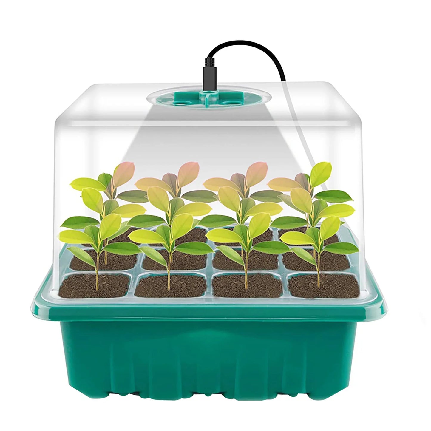 LED Grow Light for Seed Starter — Greenhouse Germination Light, Compatible with Seedling Kits & Humidity Dome