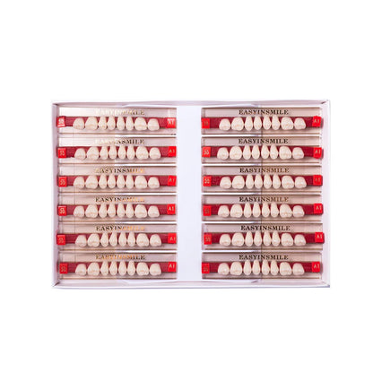 16/12 Set Dental Denture Teeth Model Kit, Upper & Lower Anterior Synthetic Polymer Teeth A2 A3 for Dental Education & Training