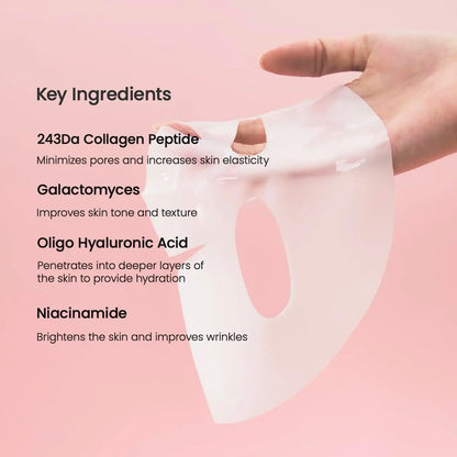 BIODANCE Bio-Collagen Gel Mask – Deep Hydrating, Pore-Refining & Elasticity Boost Night Mask